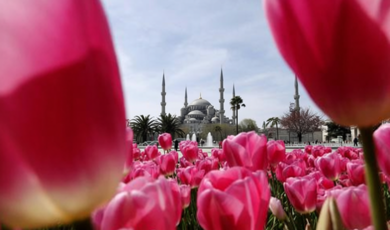 Main Agenda: Mengapa Bunga Tulip Menjamur di Turki dan Begitu Disucikan pada Masa Ottoman?