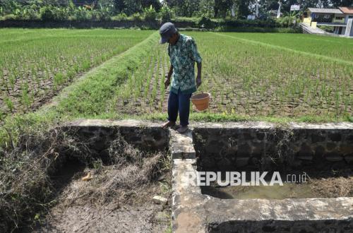 Meeting Results: Petani Andalkan Pompa Air hingga Tangki Air Hadapi Ancaman Kekeringan