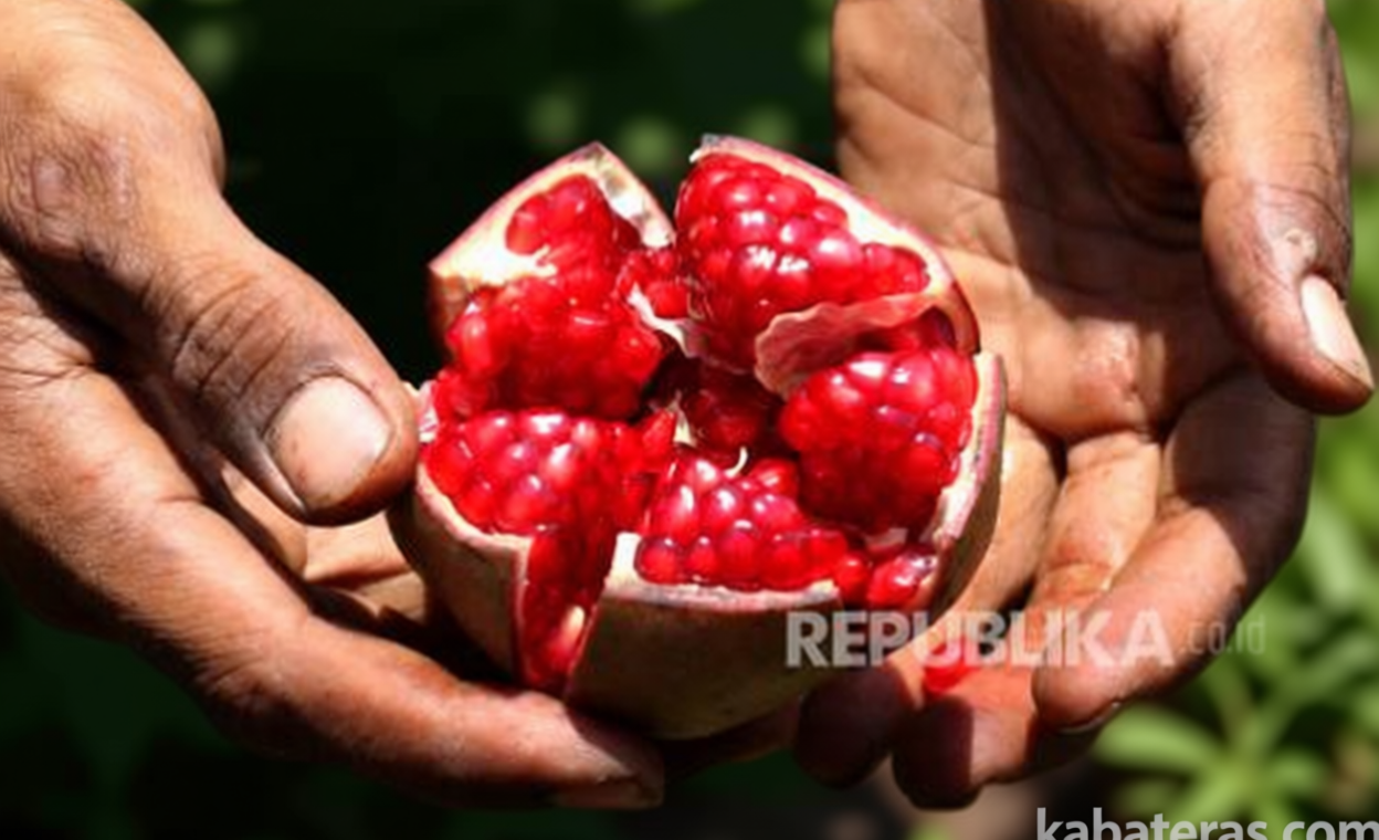 Rahasia Kulit Glowing Alami – Manfaat Buah Delima untuk Regenerasi Sel