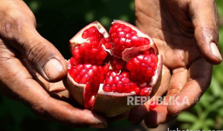 Rahasia Kulit Glowing Alami – Manfaat Buah Delima untuk Regenerasi Sel