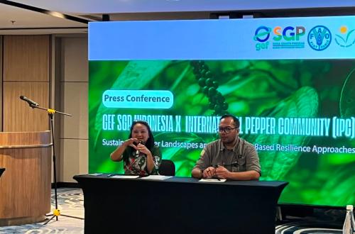 Sektor Lada Nasional Didorong Terapkan Praktik Budi Daya Berkelanjutan