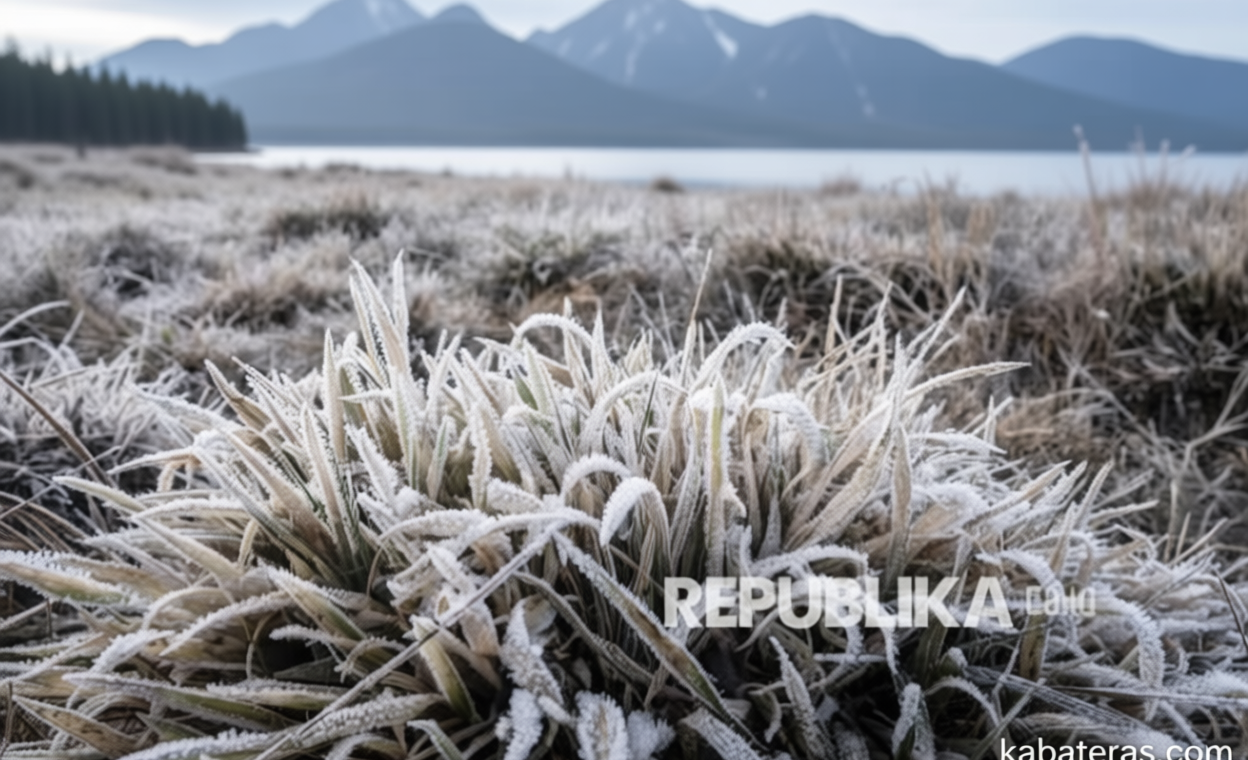 Important Visit: Embun Upas Selimuti Dieng, Wisatawan Nikmati Sensasi Suhu Minus Tiga Derajat