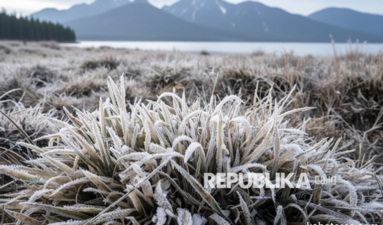 Important Visit: Embun Upas Selimuti Dieng, Wisatawan Nikmati Sensasi Suhu Minus Tiga Derajat