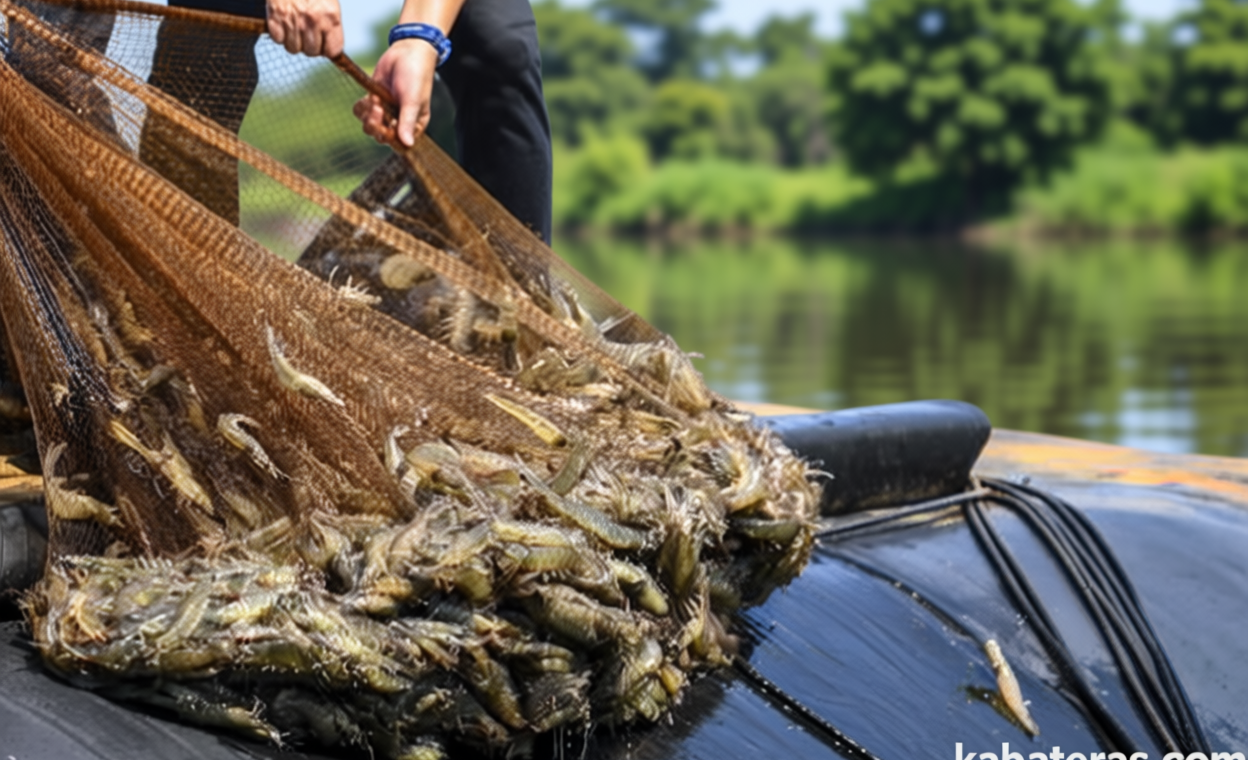 Untirta Kenalkan Teknologi Micro-Nanobubbles untuk Tingkatkan Produktivitas Tambak Udang