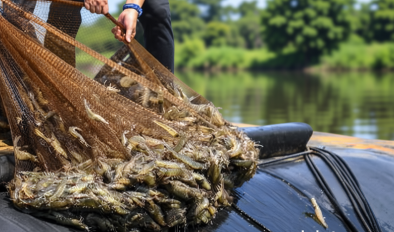 Untirta Kenalkan Teknologi Micro-Nanobubbles untuk Tingkatkan Produktivitas Tambak Udang