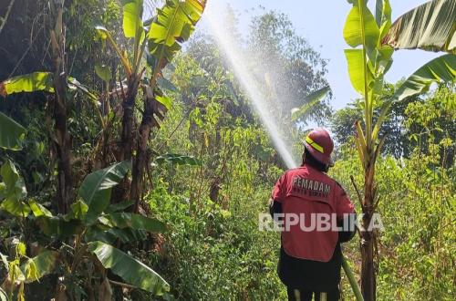 9 Kebakaran Lahan Kosong Terjadi di Cimahi dan Bandung Barat, Termasuk Dekat Jalur Whoosh