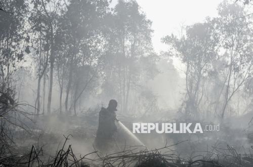 Karhutla di Enam Provinsi Ditangani dengan Operasi Udara dan Darat