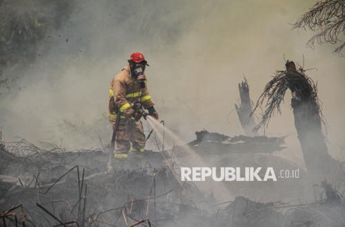 Ketua POGI Ungkap Bahaya Paparan Asap Karhutla Bagi Ibu Hamil