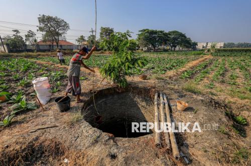 Efek El Nino Diprediksi Hingga 2027, 49 Juta Orang Berisiko Hadapi Rawan Pangan