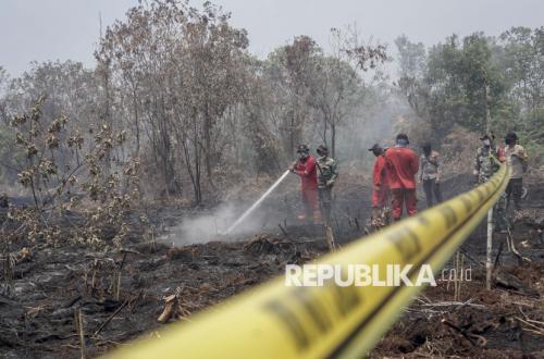 BNPB: Luas Karhutla di Enam Provinsi Capai 73.425 Hektare