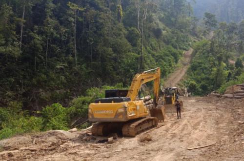 Gandeng KPK-OJK, Kemenhut Bidik Aliran Uang Kejahatan Hutan dan Satwa Liar