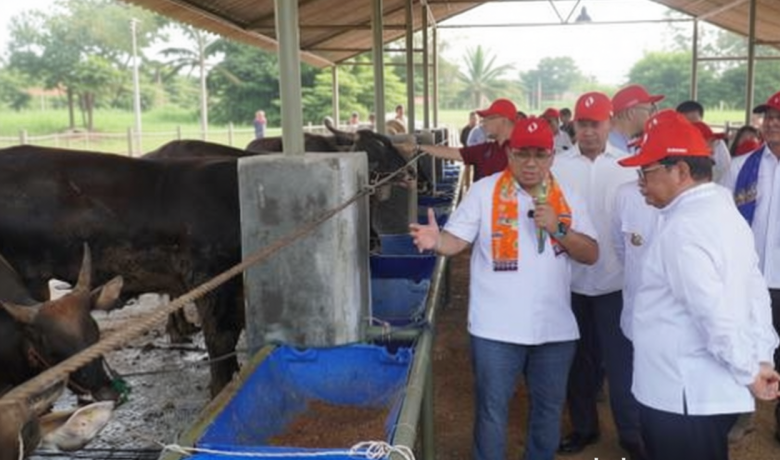 Investasi Rp1 Triliun, Kawasan Peternakan Ciangir Mulai Dibangun Akhir 2026