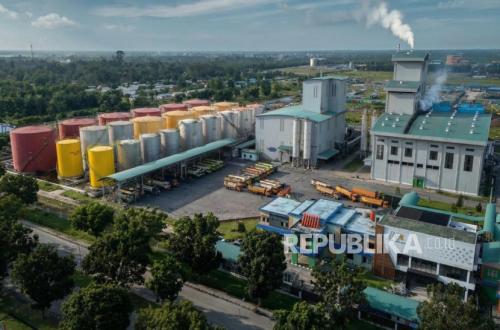 PTPN Catat Penjualan Rp 29,1 Triliun, Transformasi Bisnis Mulai Berhasil