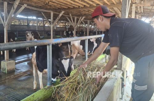 peternak-asal-desa-pasirhalang-kecamatan-cisarua-kabupaten-bandung-barat_260928154043-109