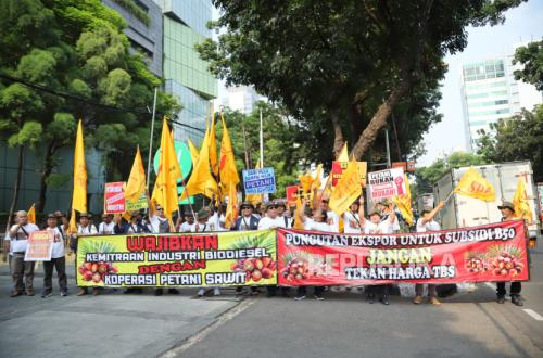 serikat-petani-kelapa-sawit-spks-mendesak-kementerian-energi-dan_260929125536-308